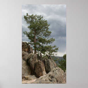 Nähernder Sturm Poster