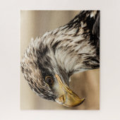 Nahes AdlerFoto Puzzle (Vertikal)