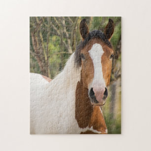 Nahes Anhäufen eines Paint Horse Puzzle