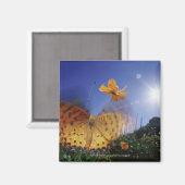 Nahes Aufblähen von Schmetterlingen Magnet (Vorderseite/Rückseite)