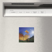 Nahes Aufblähen von Schmetterlingen Magnet (In Situ (Geschirrspüler))