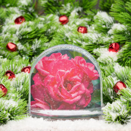 Nahes Aufblühen der rosafarbenen Rose im Sonnenlic Schneekugeln