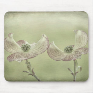 Nahes Aufblühen von rosa Dogwood Seabeck, WA Mousepad