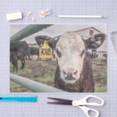 Nahes Aufkleben der Kuh, Teil 1 Seidenpapier (Handwerk)