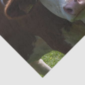 Nahes Aufkleben der Kuh, Teil 3 Seidenpapier (Ausschnitt)