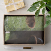 Nahes Aufkleben der Kuh, Teil 3 Seidenpapier (Geschenk)