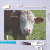 Nahes Aufkleben der Kuh, Teil 3 Seidenpapier (Handwerk)