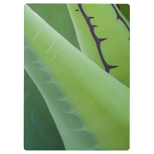 Nahes Aufkommen Klemmbrett (Rückseite)