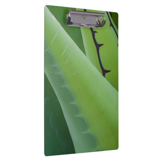 Nahes Aufkommen Klemmbrett (Rechts)