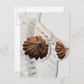 Nahes Aufkommen weiblicher Säugetierdrüsen Postkarte (Vorne/Hinten)