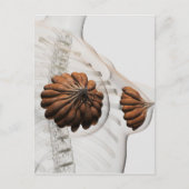 Nahes Aufkommen weiblicher Säugetierdrüsen Postkarte (Vorderseite)