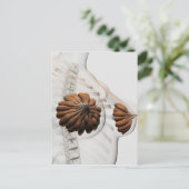 Nahes Aufkommen weiblicher Säugetierdrüsen Postkarte (Stehend Vorderseite)