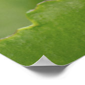 Nahes Auflegen eines über ein Blatt fliegenden Lad Poster (Ecke)