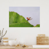 Nahes Auflegen eines über ein Blatt fliegenden Lad Poster (Küche)