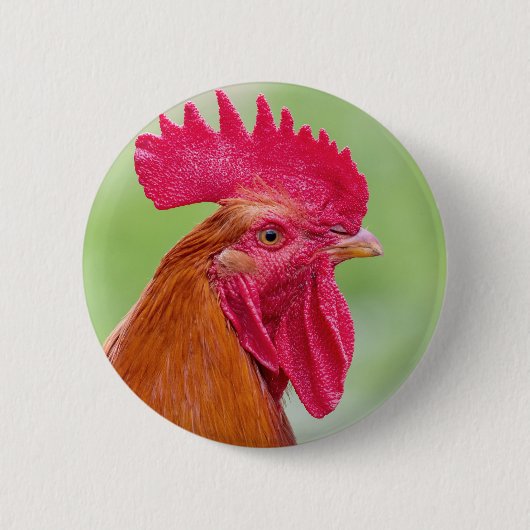Nahes Auflisten Button (Vorderseite)