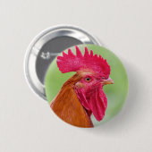 Nahes Auflisten Button (Vorne & Hinten)