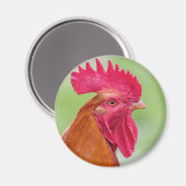 Nahes Auflisten Magnet (Vorderseite/Rückseite)