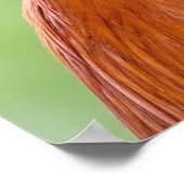 Nahes Auflisten Poster (Ecke)