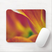 Nahes Aufsetzen der Unterseite der Tulpe-Blume, 4 Mousepad (Mit Mouse)