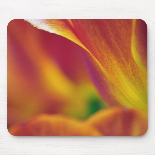 Nahes Aufsetzen der Unterseite der Tulpe-Blume, 4 Mousepad (Vorne)