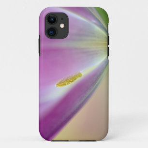 Nahes Aufsetzen der Unterseite der Tulpe-Blume, Ku Case-Mate iPhone Hülle