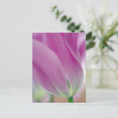 Nahes Aufsetzen der Unterseite der Tulpenbildung,  Postkarte (Stehend Vorderseite)