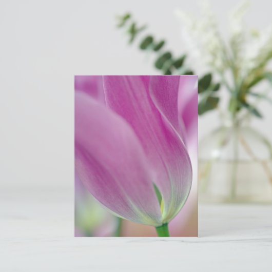 Nahes Aufsetzen der Unterseite der Tulpenbildung,  Postkarte (Stehend Vorderseite)