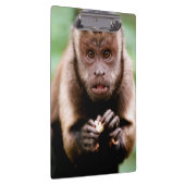 Nahes Aufsetzen eines Kapuzinerklosters Klemmbrett (Rechts)