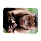 Nahes Aufsetzen eines Kapuzinerklosters Magnet (Horizontal)