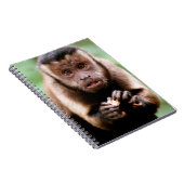 Nahes Aufsetzen eines Kapuzinerklosters Notizblock (Rechte Seite)