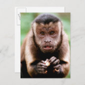 Nahes Aufsetzen eines Kapuzinerklosters Postkarte (Vorne/Hinten)