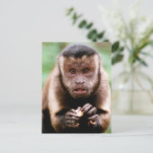 Nahes Aufsetzen eines Kapuzinerklosters Postkarte (Stehend Vorderseite)