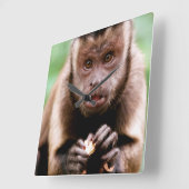 Nahes Aufsetzen eines Kapuzinerklosters Quadratische Wanduhr (Winkel)