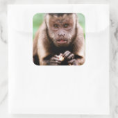 Nahes Aufsetzen eines Kapuzinerklosters Quadratischer Aufkleber (Tasche)