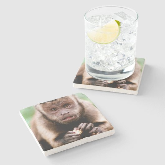 Nahes Aufsetzen eines Kapuzinerklosters Steinuntersetzer (Seitenansicht)