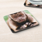 Nahes Aufsetzen eines Kapuzinerklosters Untersetzer (Linke Seite)