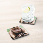 Nahes Aufsetzen eines Kapuzinerklosters Untersetzer (Rechte Seite)