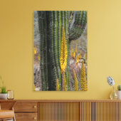 Nahes Aufsetzen von Kaktus und Agave Leinwanddruck (Insitu (Wohnzimmer))