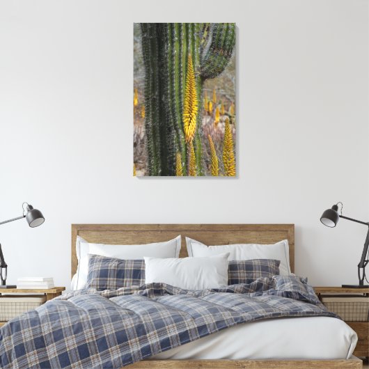 Nahes Aufsetzen von Kaktus und Agave Leinwanddruck (Insitu (Schlafzimmer))