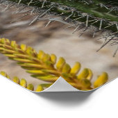 Nahes Aufsetzen von Kaktus und Agave Poster (Ecke)