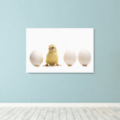 Nahes Auftragen eines Babykichts mit drei Eiern Leinwanddruck (Insitu (Holzboden))