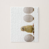 Nahes Auftragen eines Babykichts mit drei Eiern Puzzle (Vertikal)