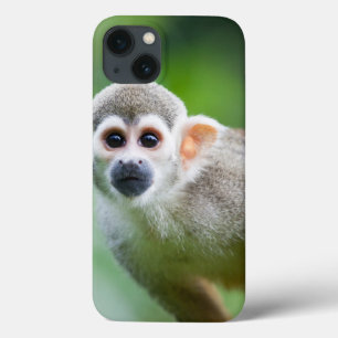 Nahes Aufwachsen eines Eichhörnchenaffen Case-Mate iPhone Hülle