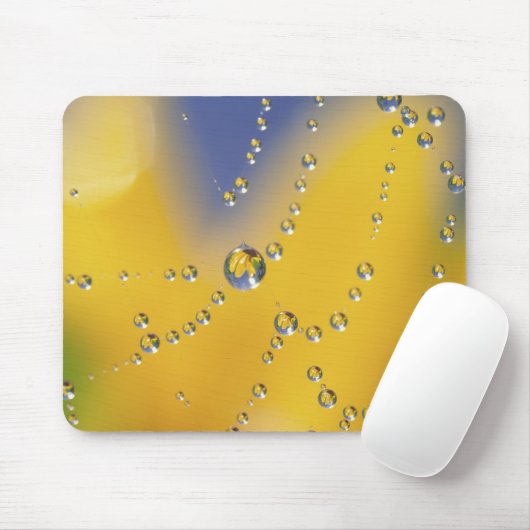 Nahes Aufziehen des Spinnennetzes mit Taubentropfe Mousepad (Mit Mouse)