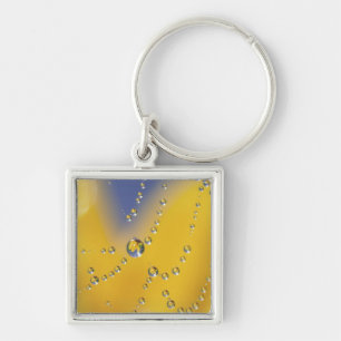 Nahes Aufziehen des Spinnennetzes mit Taubentropfe Schlüsselanhänger