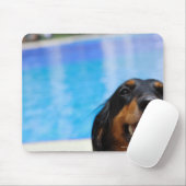 Nahes Aufziehen einer Dackel Mousepad (Mit Mouse)