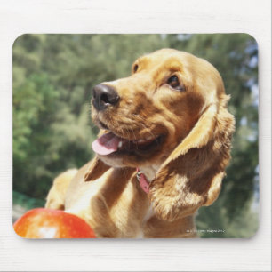 Nahes Aufziehen eines Apfels vor einem Hund Mousepad