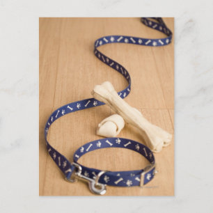Nahes Aufziehen eines Halsband und einer Leine mit Postkarte