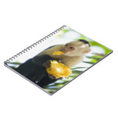 Nahes Aufziehen eines Kapuzineraffen, der eine Fru Notizblock (Linke Seite)