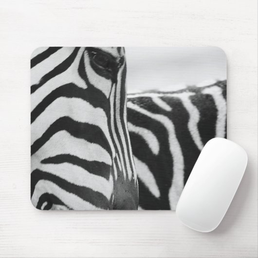 Nahes Aufziehen von Zebra im Gesicht und an der Sc Mousepad (Mit Mouse)